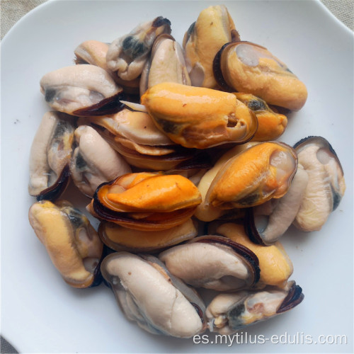 mejillones de concha verde de nueva zelanda de alta calidad